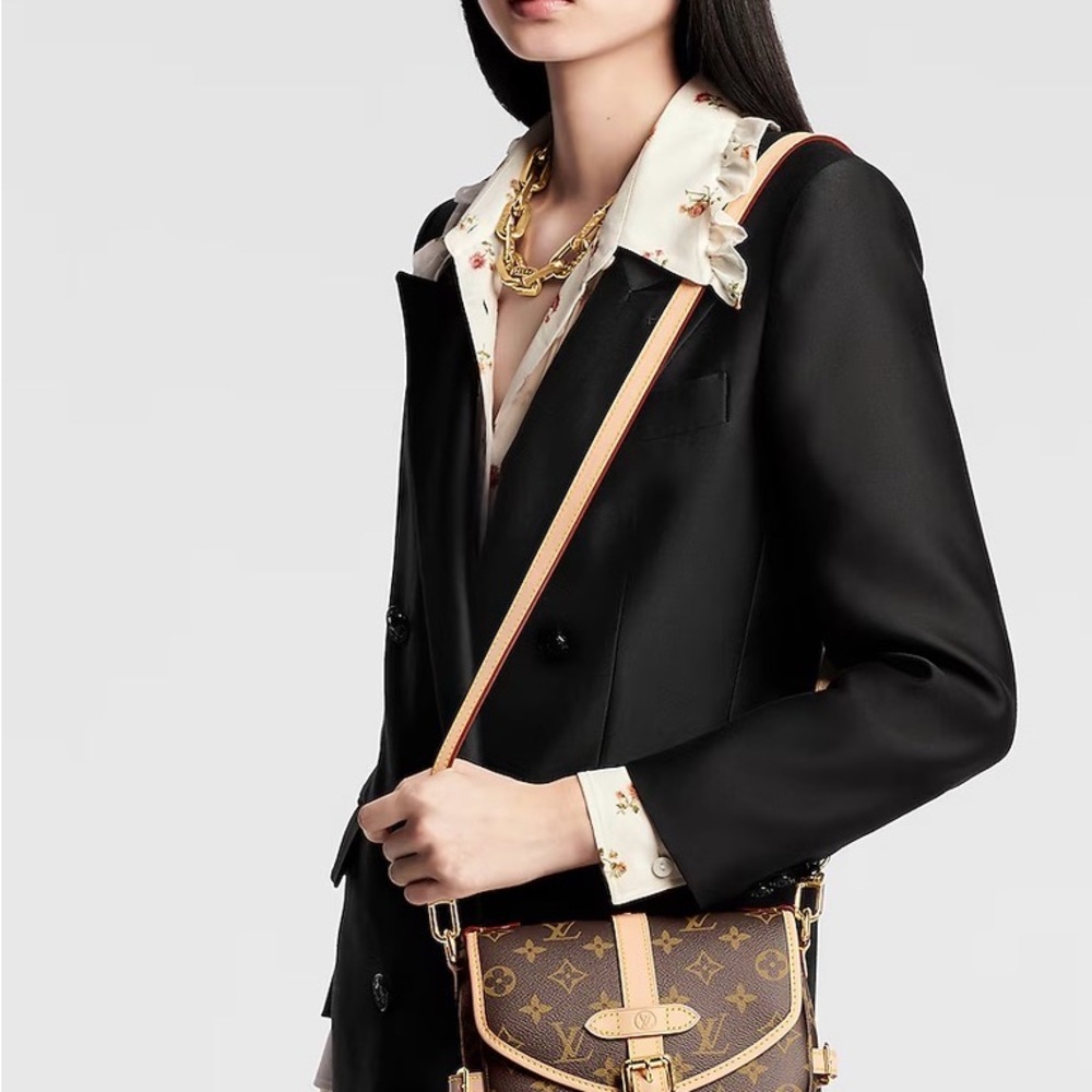 Louis Vuitton Saumur BB Monogram Crossbody Bag - Picture 13 of 13
